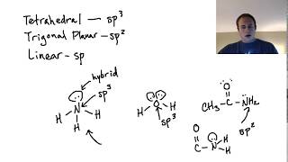 Are Lone Pairs in Hybrid Orbitals sp2 confusion [upl. by Liagibba540]