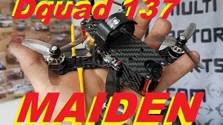 KISS AIO  Dquad137  Runcam Owl Plus MAIDEN [upl. by Lordan]