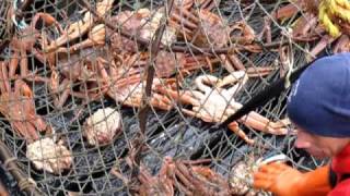 Aleutian Ballad  Bering Sea Crab Fishermans Tour [upl. by Hizar383]