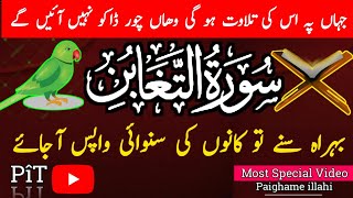 Surah AtTaghabun full سورة التغابن Wazifa for RizqSolve Your ProblemPaighame illahi [upl. by Tristram]