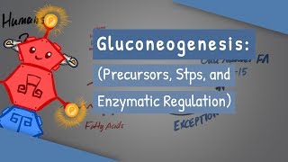 Gluconeogenesis [upl. by Nylhtiak265]