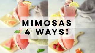 Mimosa Recipes  4 Ways [upl. by Nylessoj]