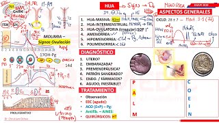 GINECOLOGÍA  PARTE VIII [upl. by Vardon733]