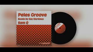 Sam Q Peles Groove [upl. by Hobie]