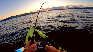 Kayak Fishing in NZ [upl. by Aicilihp]