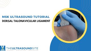 How to evaluate the midfoot for the dorsal talonavicular ligament on ultrasound [upl. by Treblihp]