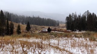 Yellowstone Bighorn trail  Oct 31 [upl. by Oiliduab]