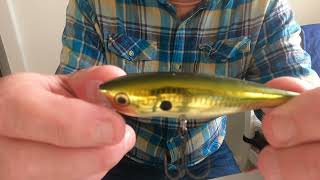 The Rapala Skitter Pop [upl. by Moraj]