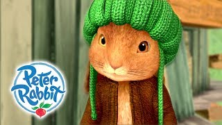 Peter Rabbit  Benjamin Bunny  Rabbits are Brave  Cartoons for Kids 🐰 [upl. by Sada664]