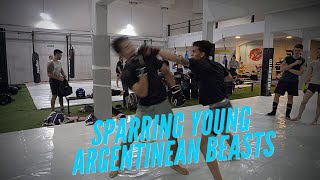 Sparring Young Argentinian BEASTS Breakdown [upl. by Netsruk110]