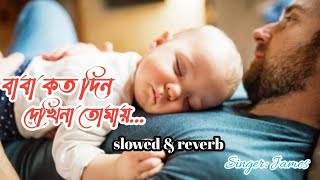 Baba Kotodin Dekhina Tomay Lyrics বাবা কতদিন দেখিনা তোমায় James [upl. by Brana519]