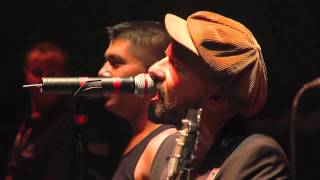 Shantel amp The Bucovina Club Orkestar Live  Disko Partizani  Sziget 2012 [upl. by Paff138]