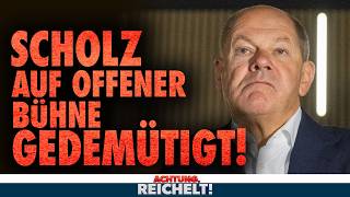 Scholz gedemütigt Habeck durchgedreht Regierung außer Kontrolle Achtung Reichelt vom 241024 [upl. by Gamin177]