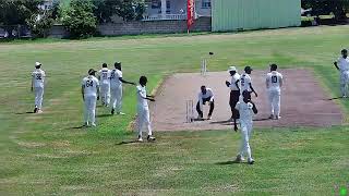 Superb Blend Gladiola vs Wanderers  Day 2 Elite [upl. by Earas]