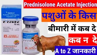 prednisolone Acetate injection  Prednisolone Acetate injection पशुओं के किस बीमारी में कब दे [upl. by Hahn]