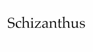 How to Pronounce Schizanthus [upl. by Htebzile696]