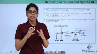 Class 11th – Qualitative Analysis  Detection of Carbon and Hydrogen  Tutorials Point [upl. by Mirilla774]