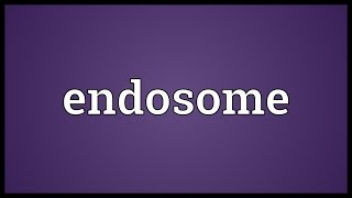 Endosome Meaning [upl. by Pier]