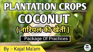 Plantation Crop  Coconut  Horticulture  By  Kajal Maam [upl. by Josiah]