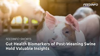 Gut Health Biomarkers of PostWeaning Swine Hold Valuable Insights  Feedinfo Shorts [upl. by Aihsrop]