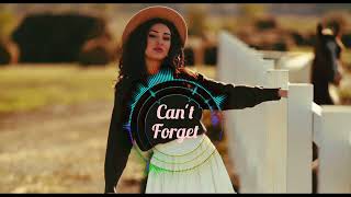 Ayla Music  Cant Forget Remix  BY Celal AY [upl. by Herwick]