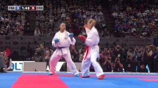 Final Female Kumite 55kg Lucie Ignace vs Jelena Kovacevic World Karate Championships 2012 [upl. by Damiani]