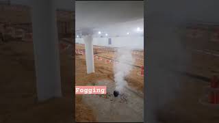 Fogging  Disinfect Poultry Shed  Disinfectant protocols  Cleaning Poultry Farm  poultry [upl. by Imaon]