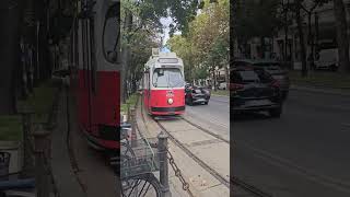 Vienna  The City of Aesthetics vienna austria travel travelvlog travelblogger [upl. by Dane]