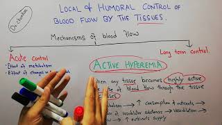 CVS physiology 99  Active hyperemia acute control of blood flow  Blood flow Autoregulation [upl. by Airamak]