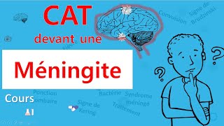 Méningite🙄 cest quoi la CAT 🤔  Cours  Infectiologie [upl. by Gnilrits382]