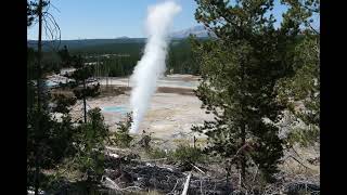 Yellowstone video 111 6k [upl. by Nodle]