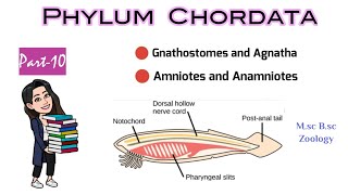 Part10 What are Gnathostomes amp AgnathaDifference between Anamniotes and AmniotesMSc BSc Zoology [upl. by Pammie]