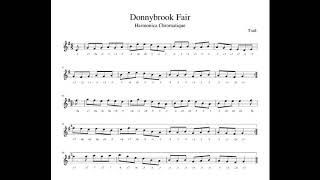 Donnybrook Fair Harmonica Chromatique [upl. by Ical]