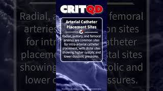 Arterial Catheter Placement Sites [upl. by Markowitz39]