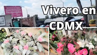 Recorriendo VIVERO en Xochimilco CDMX [upl. by Ephram]