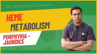 Heme Metabolism  Porphyria  Jaundice  Dr Mahmoud Ettaweel [upl. by Eecram]