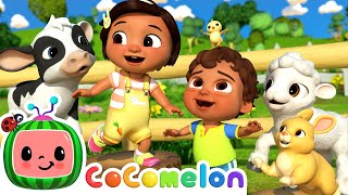 Baby Animal Dance  CoComelon Nursery Rhymes amp Kids Songs [upl. by Thursby]