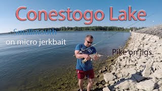 Conestogo Lake Fishing  This lake is full of life [upl. by Jacobine663]