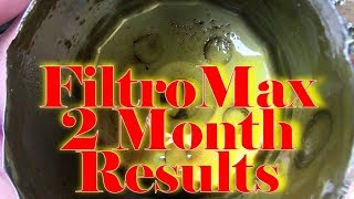 Magnetic Oil Filter Review 2 Months [upl. by Jair]