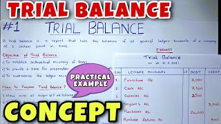 Trial Balance  Concept amp Problem  Class 11  BCOM  CA Foundation [upl. by Ugo]