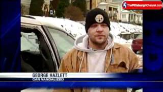 Owners Clean Up After Dozens Of Cars Damaged In Coraopolis Aspinwall [upl. by Edi]