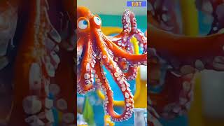 Octopus Toothbrush Tangle  Brainy Bunch TV566 shorts [upl. by Imotas]