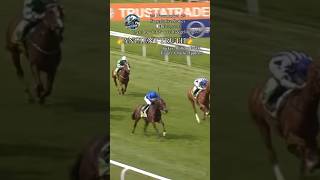 What a race by ANCIENT TRUTH amp WILLIAM BUICK😎🥇 [upl. by Adnoval]