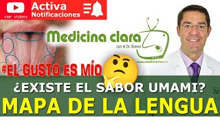 Sentido del gusto ¿Existe un MAPA de sabores de la LENGUA Sabor UMAMI  Medicina Clara [upl. by Rudy]