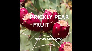 Navajo Grandma Prickly Pear Fruit quotHosh Niteelíquot [upl. by Kimberli807]