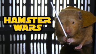 Hamster Wars  Star Wars with Hamsters [upl. by Divadnoj]