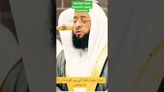 Sheikh badar turkey beautiful quran recitation makkah shorts makkahreels [upl. by Patrick]