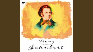 Schwanengesang D 957 No 4 Ständchen Arr Lenaerts amp Grammenos for Clarinet and Harp [upl. by Peterus]