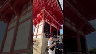 歩いて清水寺へ（その7）Kyoto Kiyomizudera 7 [upl. by Ainel939]