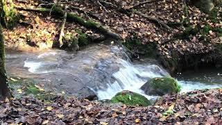 Waldweg in Waldshut [upl. by Odille]